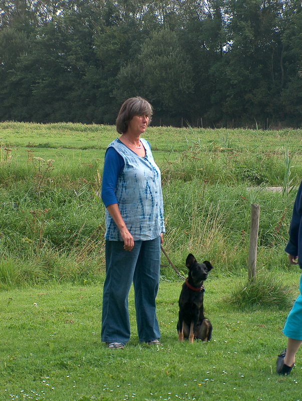 Puppy training  _02-02-15_02.JPG